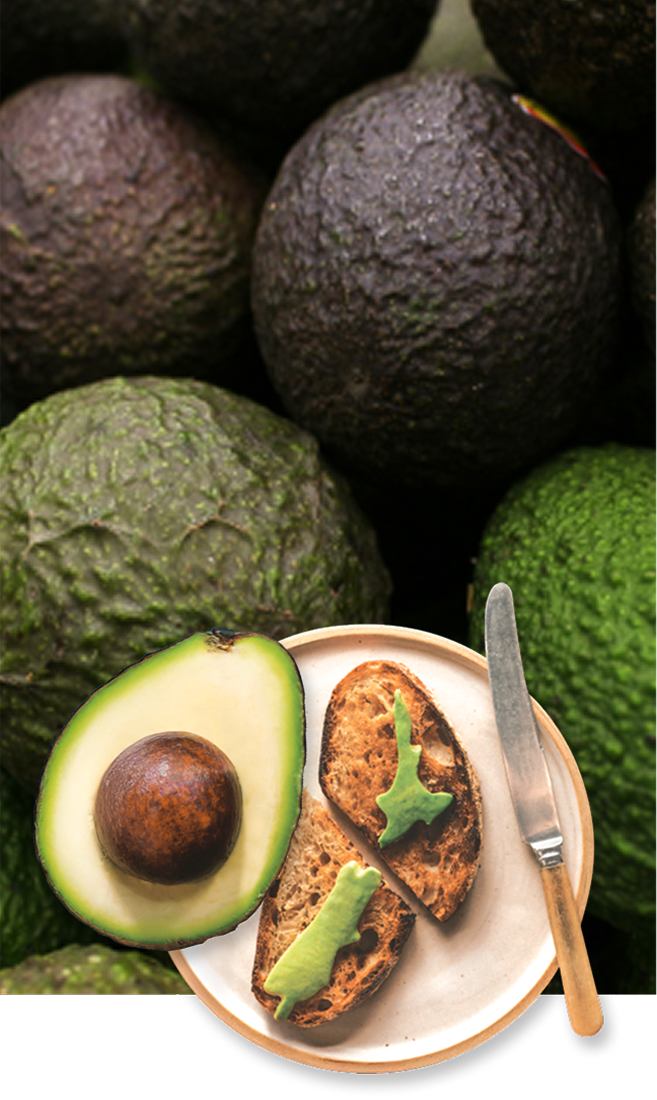 Choose the Avocado that is ripe for you!